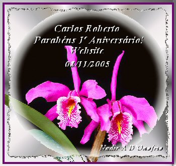 Orqudeas - Fotografia da Poetisa Nadir A. D'Onofrio